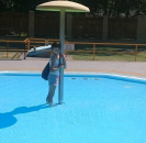 Rusava 6